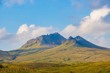 Svartifoss waterfall in Skaftafell Vatnajokull National Park, Iceland with green dramatic landscape