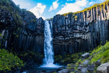 Svartifoss waterfall in Skaftafell Vatnajokull National Park, Iceland with green dramatic landscape