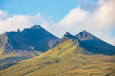 Svartifoss waterfall in Skaftafell Vatnajokull National Park, Iceland with green dramatic landscape