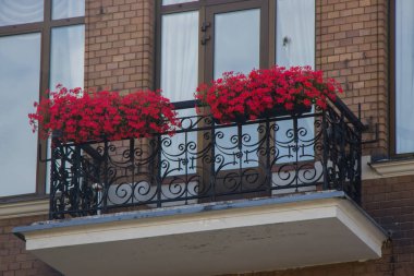 Beautiful Town of Varberg, Sweden with Train Tracks, Dogs, Balcony, Castles, Candy Shop, Flowers