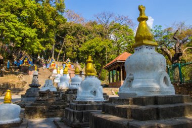 UNESCO Dünya Mirası Site Swayambhunath Budistler Maymun Tapınağı ve Katmandu Nepal Hinduları