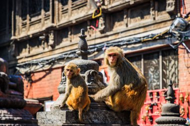 UNESCO World Heritage Site Swayambhunath Monkey Temple of Buddhists and Hindus in Kathmandu Nepal clipart