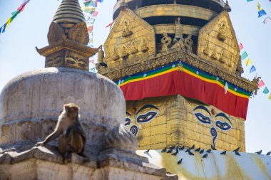 UNESCO Dünya Mirası Site Swayambhunath Budistler Maymun Tapınağı ve Katmandu Nepal Hinduları