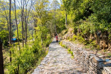 Nepal 'de güzel Mohini Jharana Şelalesi, Trekking Yolu, Asma Köprüler