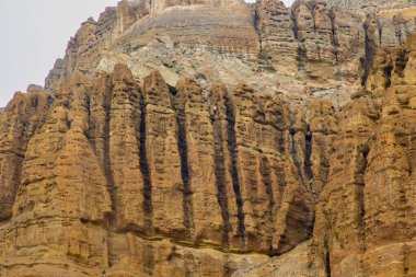 Chhusang Village, Nepal 'de İnsan Yapımı Mağaralar ile Yukarı Mustang Çölü' nün yanında bitki örtüsü ve çiçekler.