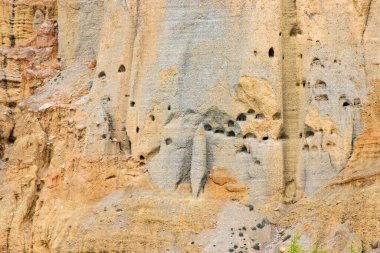 Chhusang Village, Nepal 'de İnsan Yapımı Mağaralar ile Yukarı Mustang Çölü' nün yanında bitki örtüsü ve çiçekler.