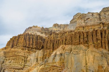 Chhusang Village, Nepal 'de İnsan Yapımı Mağaralar ile Yukarı Mustang Çölü' nün yanında bitki örtüsü ve çiçekler.