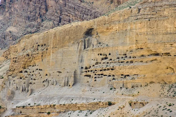 Рослинність Квіти Поряд Пустелею Верхнього Мустанга Печерами Зробленими Людиною Селі — стокове фото