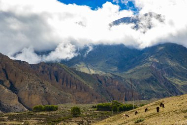 Nepal 'de Yukarı Mustang' in Ghiling Köyü 'nde Farmaland ile güzel ve dramatik Tibet manzarası