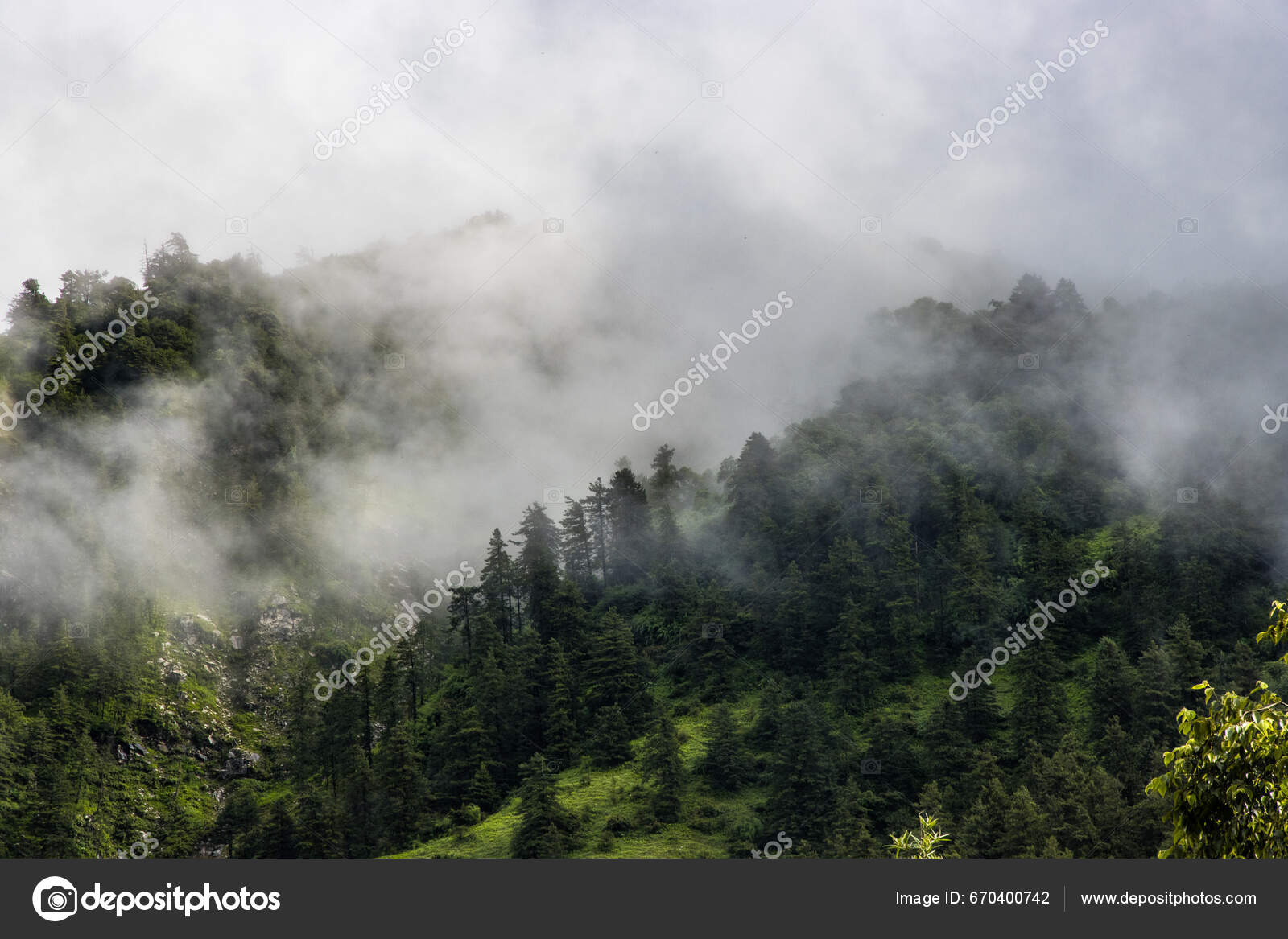 Mørk Dramatisk Tåkete Skoglandskap Nepalfjellene – stockfoto ©  neupane.jasper@gmail.com #670400742, image size:1600x1167