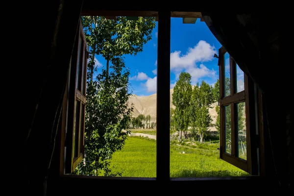 A window with nature view. Green Landscape Sunny day Scenery from a Window