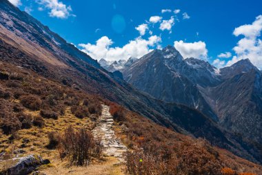 Kara Bulutlu Himalyaan Dağları, Orman, Köy ile Kanchenjunga Koruma Alanına yolculuk