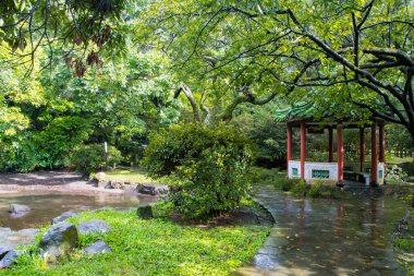Taipei 'deki Yangmingshan Milli Parkı, Tayvan' daki Çin Cumhuriyeti 'nin çevresindeki manzara ve doğa.