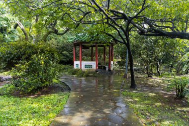 Taipei 'deki Yangmingshan Milli Parkı, Tayvan' daki Çin Cumhuriyeti 'nin çevresindeki manzara ve doğa.