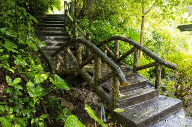 Taipei 'deki Yangmingshan Milli Parkı, Tayvan' daki Çin Cumhuriyeti 'nin çevresindeki manzara ve doğa.