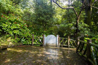 Taipei 'deki Yangmingshan Milli Parkı, Tayvan' daki Çin Cumhuriyeti 'nin çevresindeki manzara ve doğa.