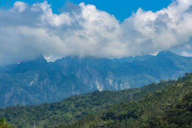 Chiyahi, Tayvan 'daki Alishan Ulusal Ormanı' nın Güzel Ormanı