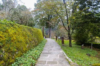 Alishan, Tayvan - 08 Ekim 2023: Tayvan 'daki Alishan Ulusal Ormanı' nın Doğal Yürüyüş Alanı 