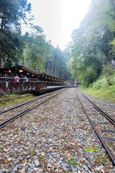 Alishan, Tayvan - 08 Ekim 2023: Tayvan 'daki Alishan Ulusal Ormanı içindeki Eski Tren İstasyonu 