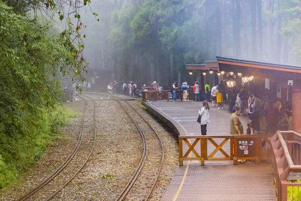 Alishan, Tayvan - 08 Ekim 2023: Tayvan 'daki Alishan Ulusal Ormanı içindeki Eski Tren İstasyonu 