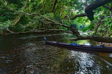 Su taksisi Jetty, Taman Negara Ulusal Parkı 'ndaki Tahan nehrinin ormanına park etti.