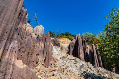 Hac, Hintli Shiva Linga Dham Tapınağı ve Bedkot, Kanchanpur, Nepal 'deki kum tepeleri.
