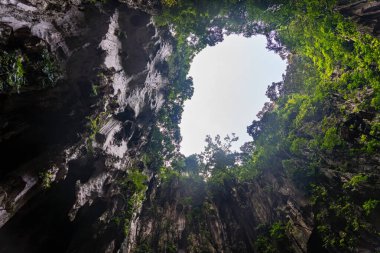 Gökyüzü ve ormanla dolu güzel mağara Malezya 'daki Kireçtaşı Mağarası