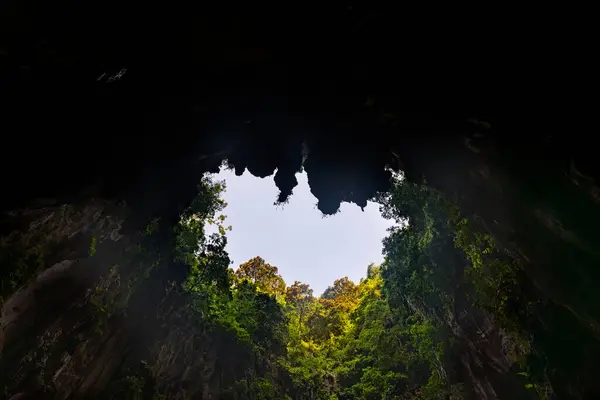 Gökyüzü ve ormanla dolu güzel mağara Malezya 'daki Kireçtaşı Mağarası