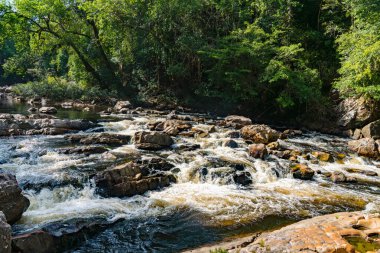 Lata Berkoh Şelalesi, Taman Negara Parkı Malezya 'da Kayalar ve Şelale ile birlikte nehirde.