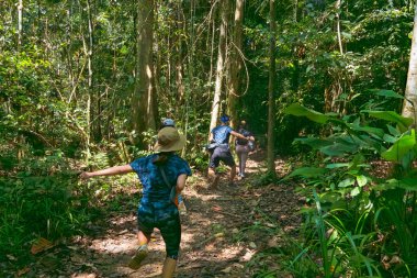 Pahang, Malezya - 14 Mayıs 2024: Taman Negara Ulusal Parkı 'nda Yürüyüş