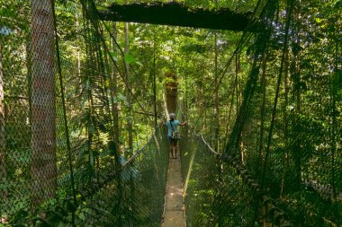Pahang, Malezya - 14 Mayıs 2024: Taman Negara Ulusal Parkı 'ndaki Yeşil Orman' da Tepe Yolu 'nun Tadını çıkaran Turistler