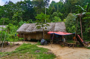 Pahang, Malezya - 14 Mayıs 2024: Orang Asli, Taman Negara Milli Parkı 'ndaki Malezya Yarımadası kabile köyü