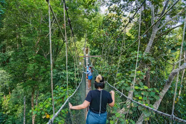 Pahang, Malezya - 14 Mayıs 2024: Taman Negara Ulusal Parkı 'ndaki Yeşil Orman' da Tepe Yolu 'nun Tadını çıkaran Turistler