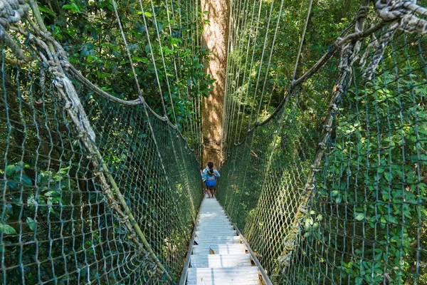 Pahang, Malezya - 14 Mayıs 2024: Taman Negara Ulusal Parkı 'ndaki Yeşil Orman' da Tepe Yolu 'nun Tadını çıkaran Turistler