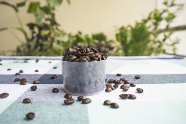 Kahve çekirdekleri masada kavrulmuş. Öğütmek için bir kavanoz kahve çekirdeği. Kafe 'de Arap Fasulyesi