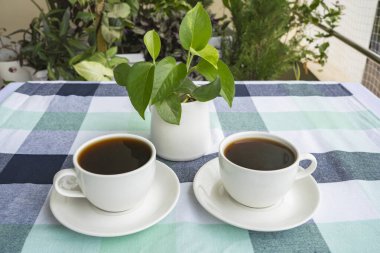 Bitki bahçeli restoranın masasında taze fasulyeli bir fincan Black Coffee Americano Espresso.