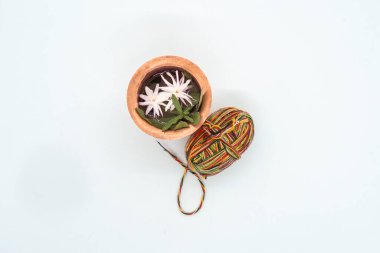 Doro için bir Puja Thali, Rakhsya Bandhan Bhai Dooj için, tütsü, çiçekler, haç, Janai tanrılara tapmak için.