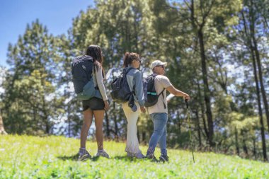 Doğa Ormanı 'nda yürüyüş yapan üç genç arkadaş Ulusal Park' ta yol tarifi arıyor.