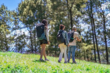 Doğa Ormanı 'nda yürüyüş yapan üç genç arkadaş Ulusal Park' ta yol tarifi arıyor.