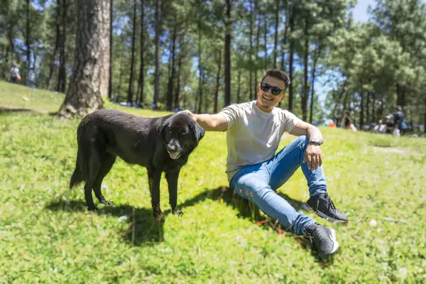 Doğa Ormanında Uygun Genç Erkek Yürüyüşçü Bir köpekle Neşeli ve kaslı Hareketler Veriyor