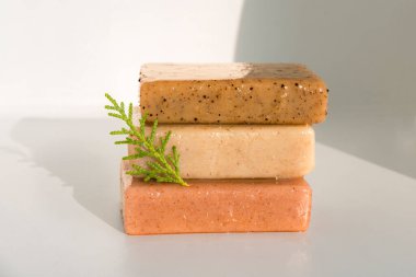 Bitkisel sabun modeli bitkiler ve yapraklı kozmetik sağlık kavramı ile beyaz arka planda izole edilmiştir.