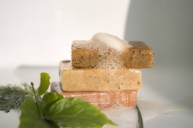 Bitkisel sabun modeli bitkiler ve yapraklı kozmetik sağlık kavramı ile beyaz arka planda izole edilmiştir.