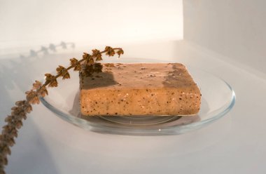 Bitkisel sabun modeli bitkiler ve yapraklı kozmetik sağlık kavramı ile beyaz arka planda izole edilmiştir.