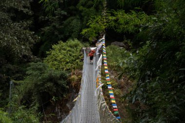 Langtang Vadisi, Rasuwa, Nepal - 14 Ekim 2024: Himalayalar 'ın Langtang Trek Bölgesi' ndeki trekker ve turistlerin asma köprüsünde ağır çanta taşıyan Porter