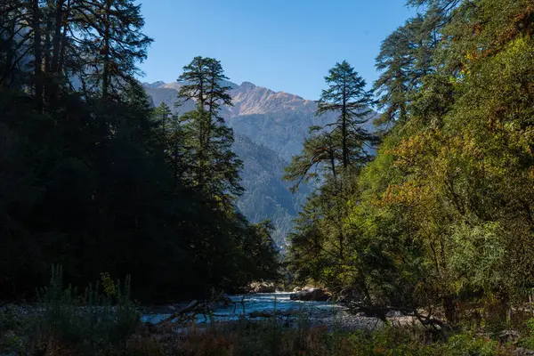 Nepal Lama Oteli 'nden Nepal' in Rasuwa kentindeki Langtang Köyü 'ne Himalayalar' ın yürüyüş güzergahıyla yolculuk.