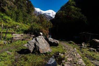 Langtang Köyü, Nepal - 15 Ekim 2024: Himalaya dağlarının 3. gün Lama Oteli 'nde Langtang Village, Nepal' e yürüyüşü sırasında görülen ilk bakış
