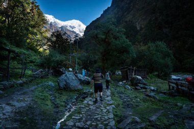 Langtang Village, Nepal - October15 2024 : First Glimpse of Himalayan mountains seen during day 3 trek of Lama Hotel to Langtang Village, Nepal clipart