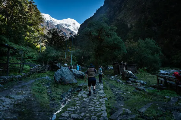 Langtang Köyü, Nepal - 15 Ekim 2024: Himalaya dağlarının 3. gün Lama Oteli 'nde Langtang Village, Nepal' e yürüyüşü sırasında görülen ilk bakış