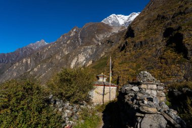 Langtang Lirung Dağı Gündoğumu Langtang Köyü 'nden Kyanjin Himalaya Yolu sırasında görüldü.