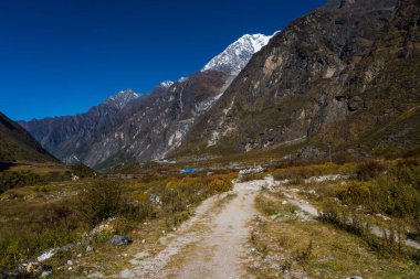 Langtang Lirung Dağı Gündoğumu Langtang Köyü 'nden Kyanjin Himalaya Yolu sırasında görüldü.
